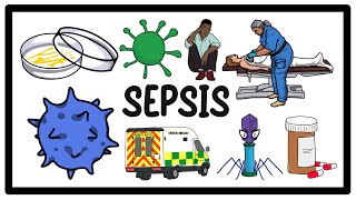 Sepsis Infection amp Septic Shock The Ultimate Guide to Symptoms and Treatment [upl. by Atipul]