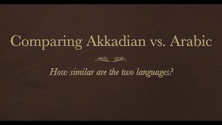 Akkadian vs Arabic  How similar is Akkadian to Arabic [upl. by Vena398]