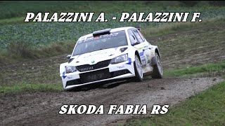 2° RALLY TRENTINO 2024  PALAZZINI A  PALAZZINI F  SKODA FABIA R5  VIDEO BY BELLUNOVIDEO [upl. by Art]