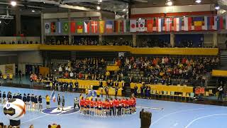 Romania  Cehia Campioantul Mondial de Handbal [upl. by Diraf]