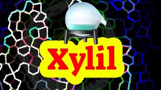 HOW SAY XYLYL XYLYL PRONUNCIATION HIGH QUALITY VOICES WIE SAGT MAN XYLYL COMO DECIR XYLYL [upl. by Selima675]