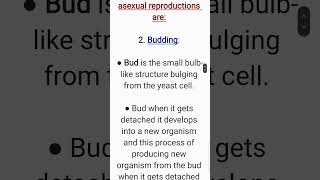 What is budding Class 7 ScienceReproduction in Plants [upl. by Eyllek]