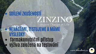 Zinzino  Zkušenosti  Sdílení zkušeností s užíváním Zinzino quotzdravotního protokoluquot [upl. by Arotahs]