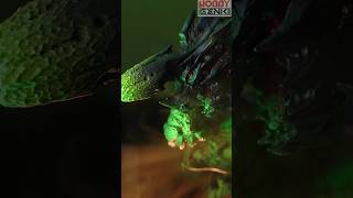 Crushing  Brachydios Monster Hunter Capcom Figure Builder [upl. by Filide252]