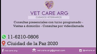 Vet Care Arg [upl. by Gyasi]