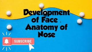 Development of Face and Anatomy of Nose Osteocartilaginous framework of External Nose [upl. by Luci]