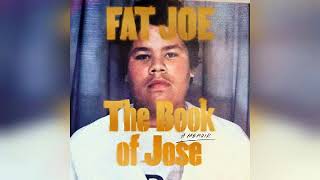 The Book of Jose A Memoir  by Fat Joe  Audiobook Review [upl. by Berkie948]