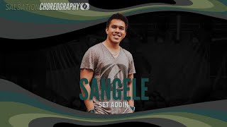 Sangele  Salsation® Choreography by SET Addin [upl. by Tades606]