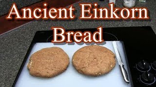 Baking ancient Einkorn wheat bread  Artisan [upl. by Yllil]