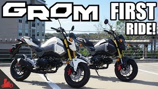 2018 Honda Grom FIRST Ride [upl. by Monroe431]