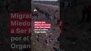 Familia busca migrar a Estados Unidos por temor al crimen organizado nmas shorts migrantes [upl. by Pascasia]