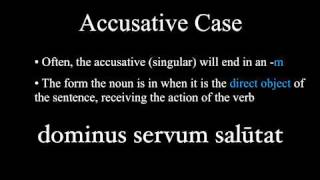 The Nominative and Accusative Cases [upl. by Nymsaj222]