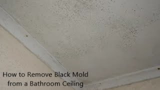 How to Remove Black Mold from a Bathroom Ceiling [upl. by Ednalrim]