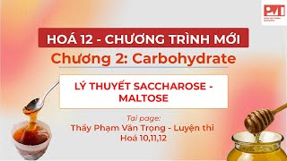 HÓA 12CHƯƠNG 2 LÝ THUYẾT SACCHAROSE MALTOSE [upl. by Nioe]