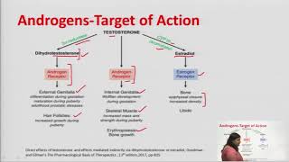 Androgens And Anabolic Steroids [upl. by Nyllij]