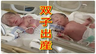 計画帝王切開で双子を出産！！！【双子】 [upl. by Dennet]