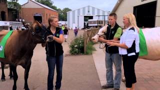 4H at the 2014 Minnesota State Fair Caleb and Carley Vinkemeier [upl. by Sadoff]