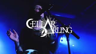 CELLAR DARLING  UK Tour 2022 Official Trailer [upl. by Kcirdnekal]