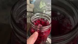 Fermented Beets garden vegetables gardening [upl. by Vincenz519]