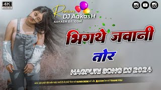 BHINGATHE JAWANI TOR  NAGPUR DJ SONG [upl. by Francoise]