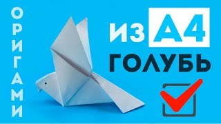 Как сделать голубя из бумаги А4  простое оригами своими руками  без клея и без ножниц [upl. by Maurine]