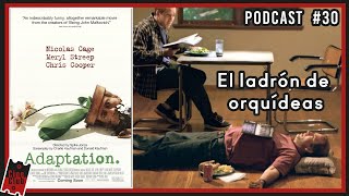 Adaptation  El ladrón de Orquídeas de Charlie Kaufman  Cineclub Virtual 30  Podcast [upl. by Eiznekcm]