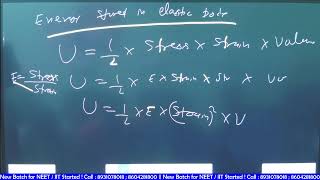 Elasticity Class 11 Physics  Full Chapter Explained I Physics Elasticity Full Chapter for Class 11 [upl. by Attiuqal588]