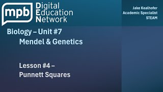 MPB Biology Unit 7 Lesson 4 Punnett Squares [upl. by Yerocaj]