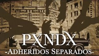 PXNDX  Adheridos Separados [upl. by Eema]