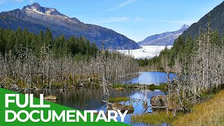 Alaska  The Last Frontier  Free Documentary Nature [upl. by Seton452]