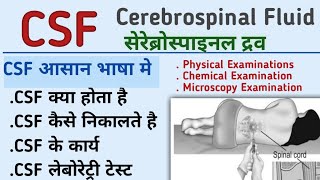 CSF cerebrospinal fluid physical examination collection of csf CSF laboratory testKiran maurya [upl. by Ehcropal26]