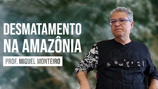 Monitoramento do Desmatamento da Amazônia  INPE [upl. by Deth50]