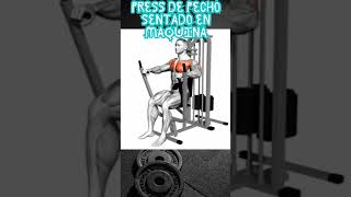 Exercise Tips Press de Pecho Sentado en Máquina [upl. by Lednor]