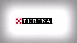 Purina Logo [upl. by Otilrac]