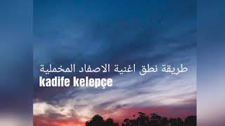 طريقة نطق اغنية kadife kelepçe  الاصفاد المخملية لكرم جيم بصوت سيفدا  ozgu kaya [upl. by Craddock164]