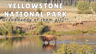 Yellowstone National Park  The Granddaddy of them all [upl. by Anahtor]