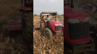 Massey Ferguson 245 4wwd puddling [upl. by Enrique]