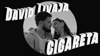 DAVID LIVAJA  CIGARETA OFFICIAL VIDEO [upl. by Gustaf]