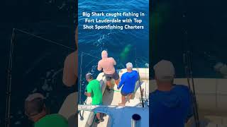 Top Shot Sportfishing Charters fishingcharters fish shark sportfish deepseafishing fishing [upl. by Ayhdiv827]