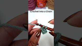 How to Crochet Into a Chain  Crochet Basics by Yarn Over Hook [upl. by Meghann]