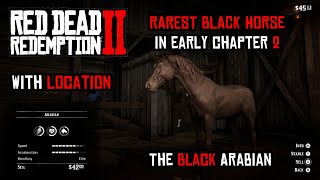 How To Get the RARE Black Arabian Horse As EARLY In Chapter 2 For FREE RDR2 rdr2 [upl. by Whitcomb913]