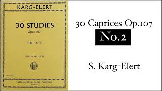 【Flute】30 Caprices Op107 No2  SKargElert [upl. by Magill]