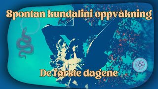 De første dagene [upl. by Catima183]