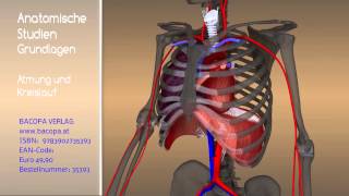 000 Anatomie Trailer [upl. by Eloci]