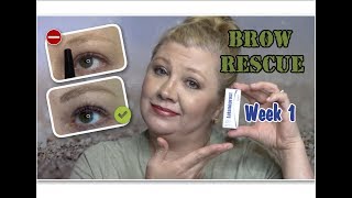 ✅BROW RESCUE✔Wk 1✔How To Grow Eyebrows Fast wLatisse CareprostLatanoprost✔Over 40✔ Lori Brainard [upl. by Llenra]