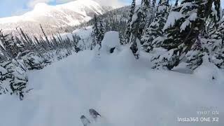 CMH Heli Skiing Adamants 5th day  The Sunny  POV [upl. by Pillihpnhoj]