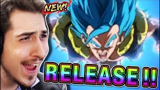 INSANE LR BLUE GOGETA SUMMON FOR 9TH ANNIVERSARY DBZ DOKKAN BATTLE [upl. by Uke317]