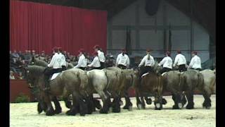 Show De Brabander 2004 [upl. by Ahsas]