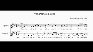 William Mundy  Vox patris caelestis [upl. by Ellett]