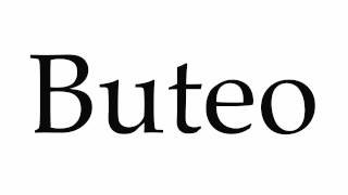 How to Pronounce Buteo [upl. by Elocan]